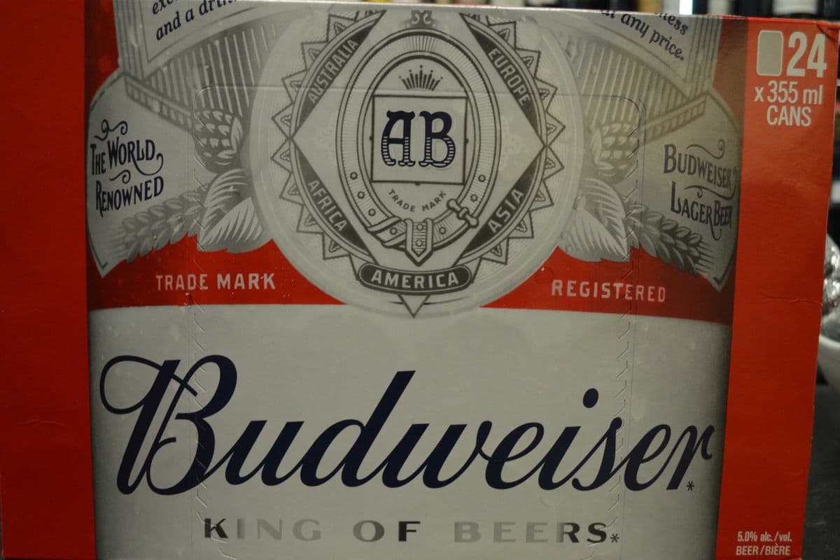 Budweiser (24 x 355 ml) (1 x 355 ml)