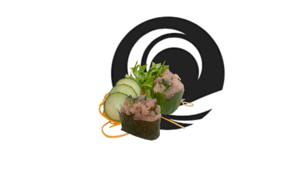 Negi Toro