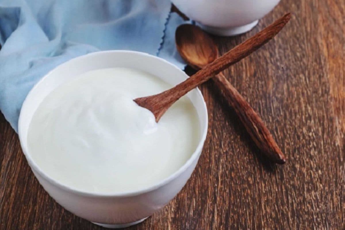 Plain Raita