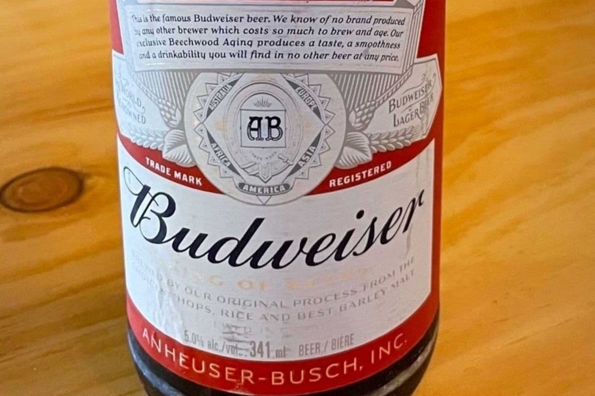 Budweiser (1 x 355 ml bottle)