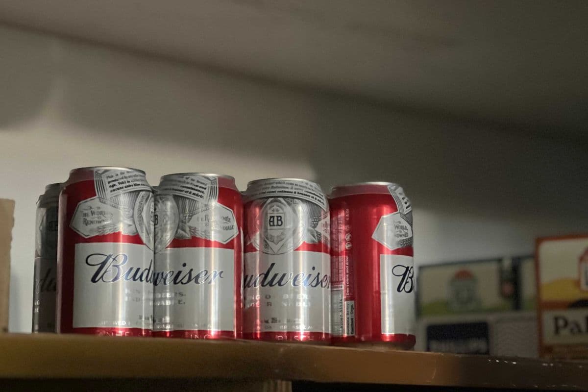 Budweiser (8 Pack) (1 x 8 PK)