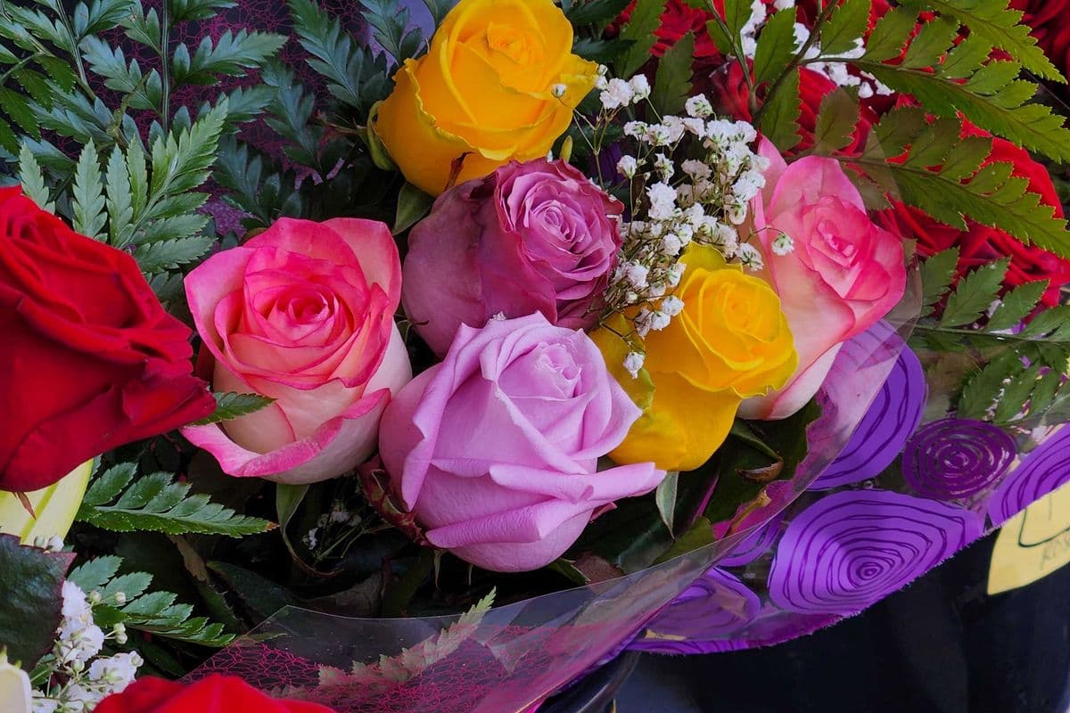Half a Dozen Red Roses (6 Stems)