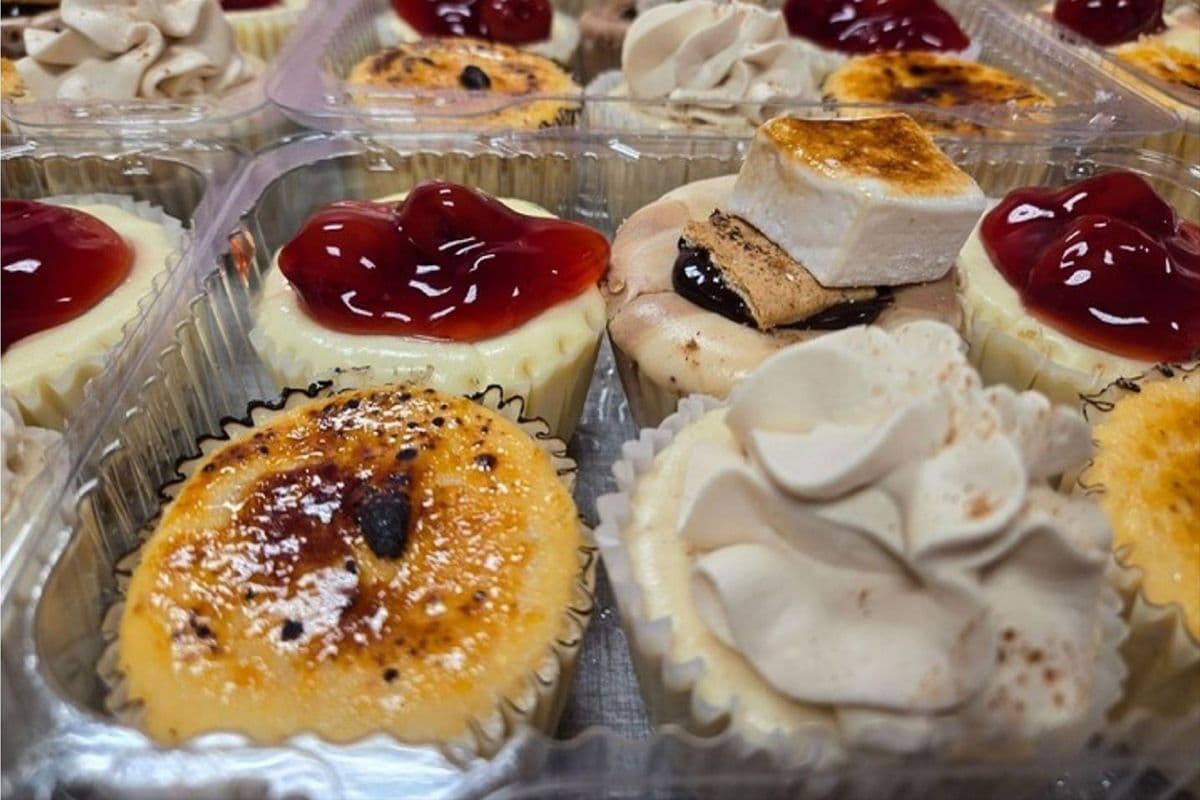 Mixed Pack of Cheesecake