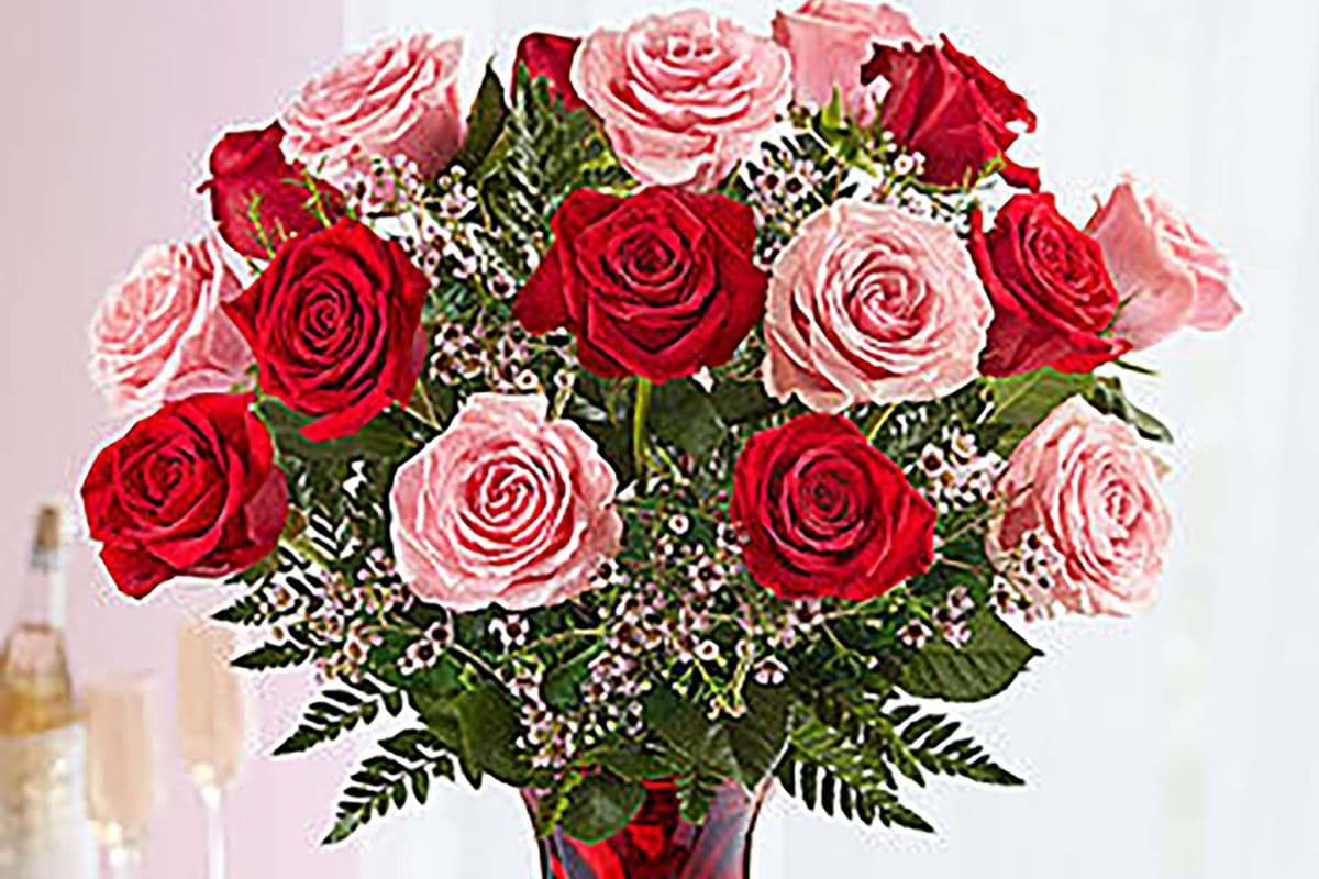 Shades Of Pink and Red