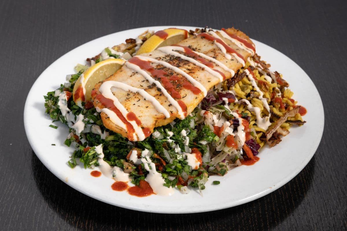 Fish Plate
