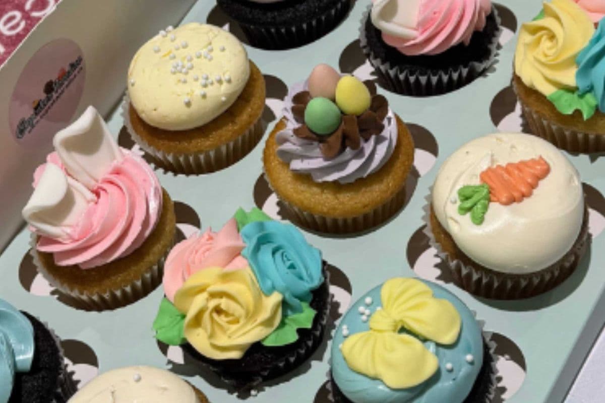 6 Assorted Cupcakes