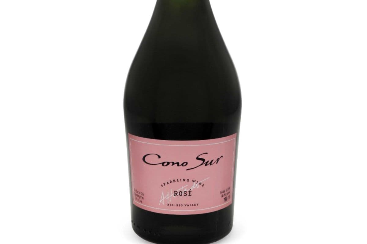 Cono Sur brut rose (1 x 750ml)