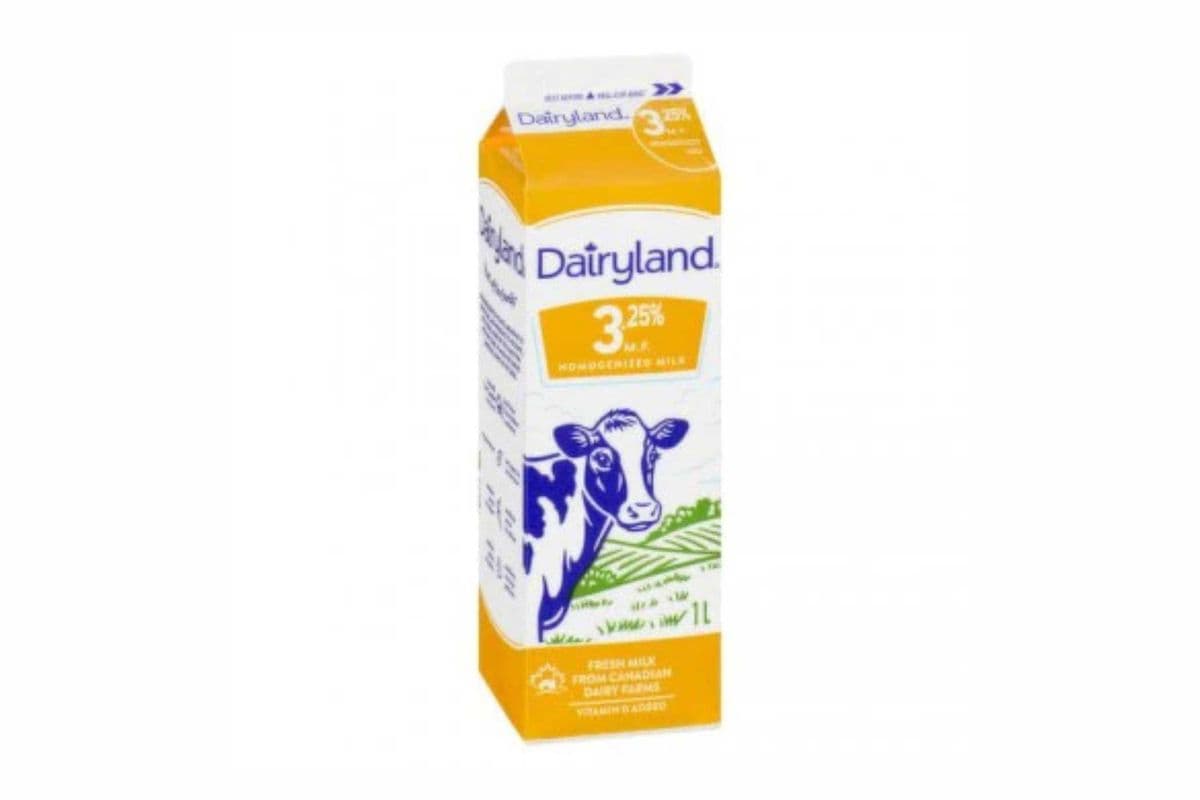 Dairyland Homogenized Milk 3.25% (1 L)