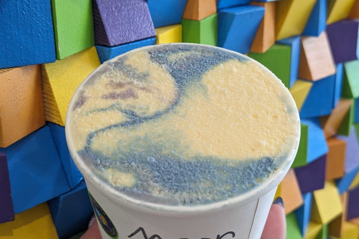 Pint of Ice Cream (1 tub)