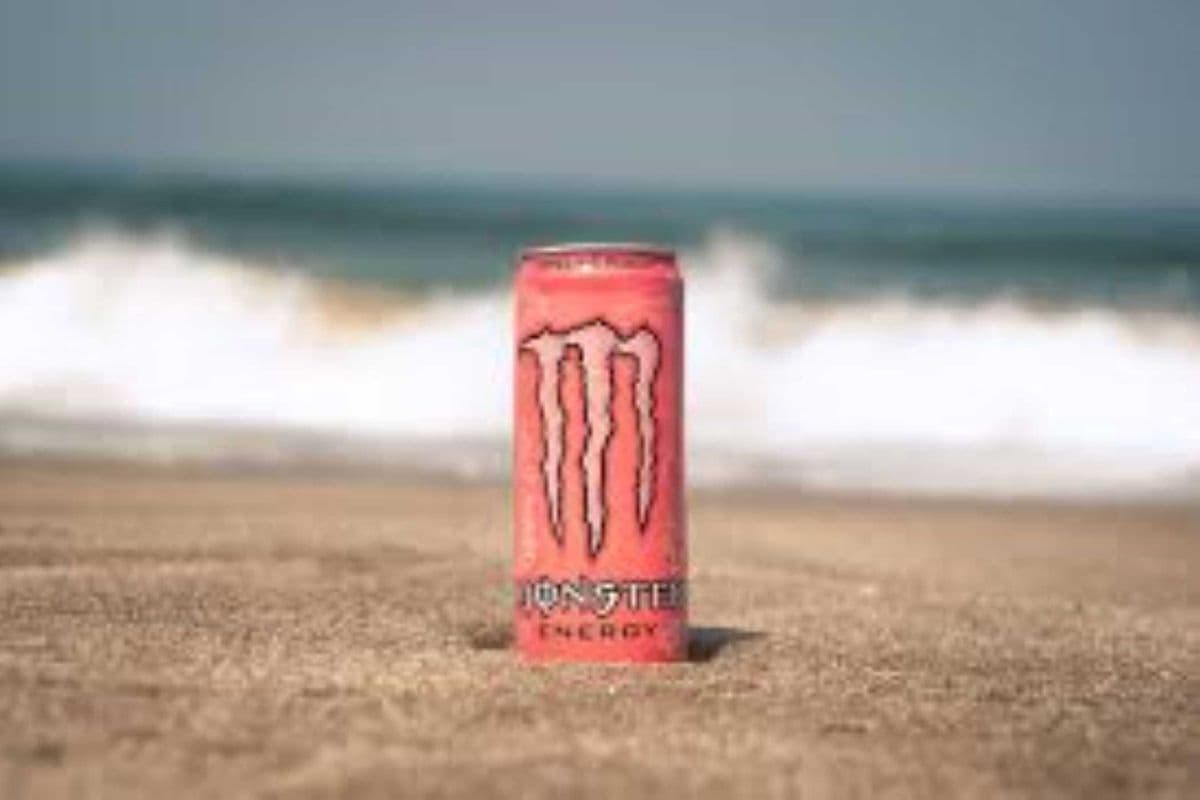 Monster Papillon (473 ml)
