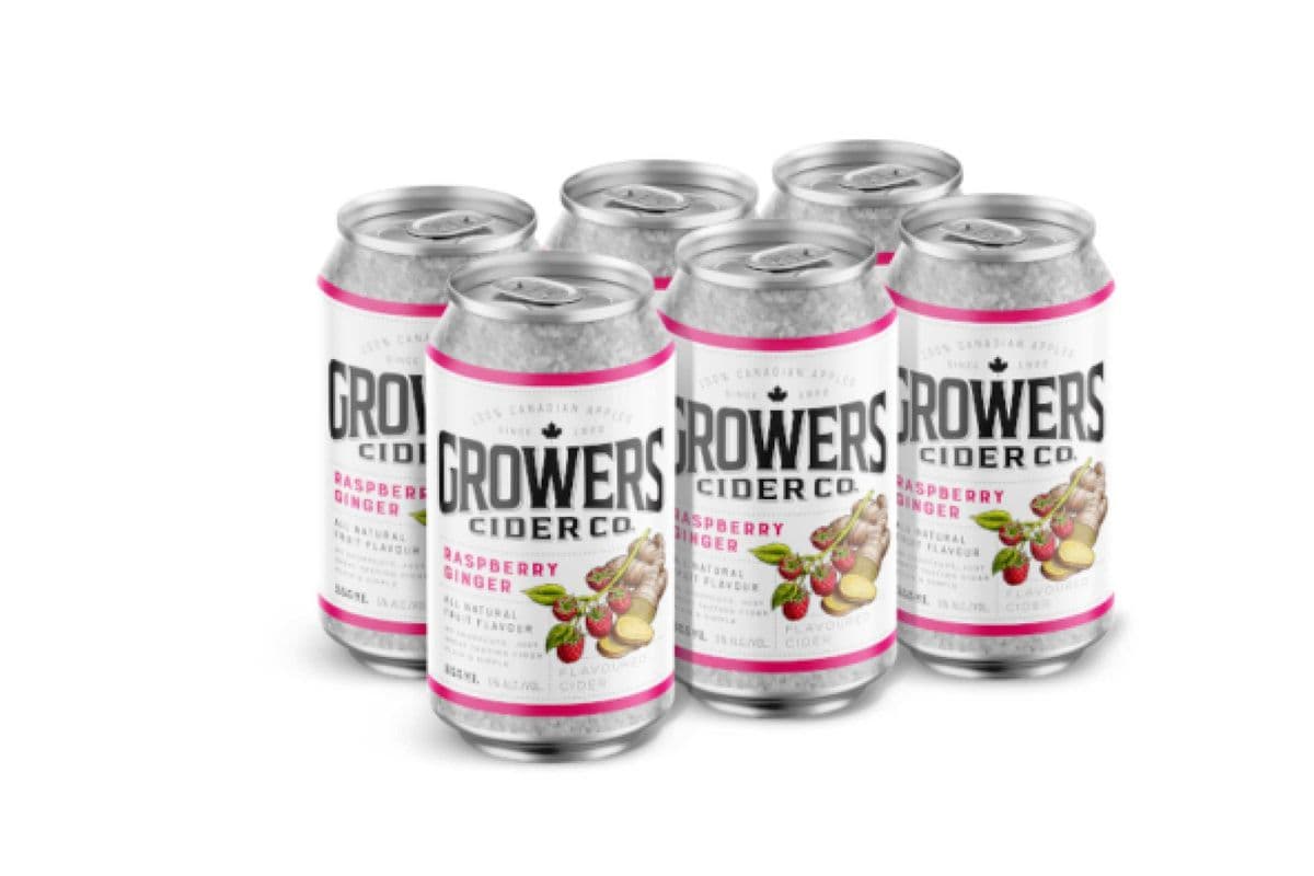GROWERS RASPBERRY GINGER 6 CANS(355 ML) (1 x 355 ML)