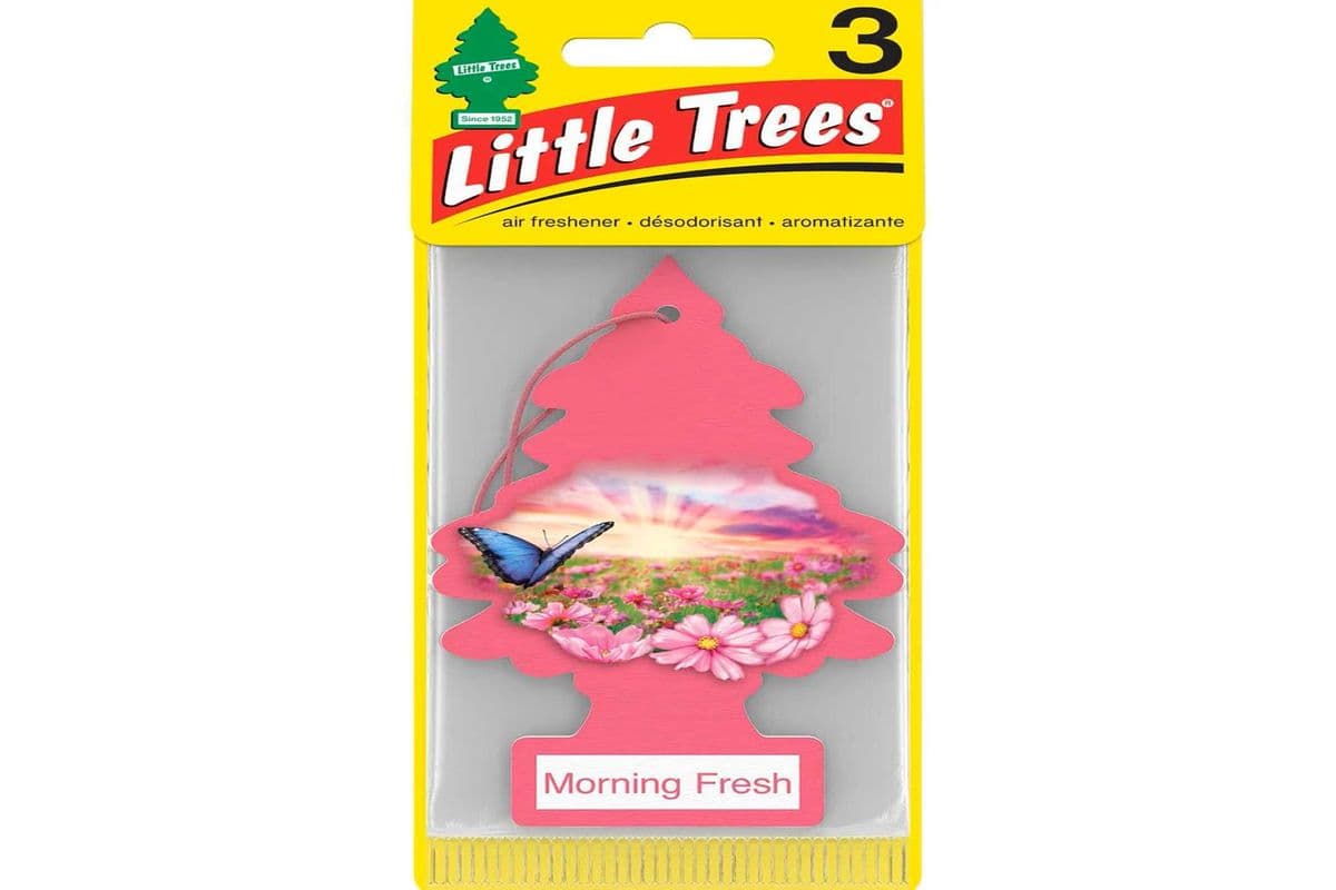 Little Trees Air Freshener Morning Fresh