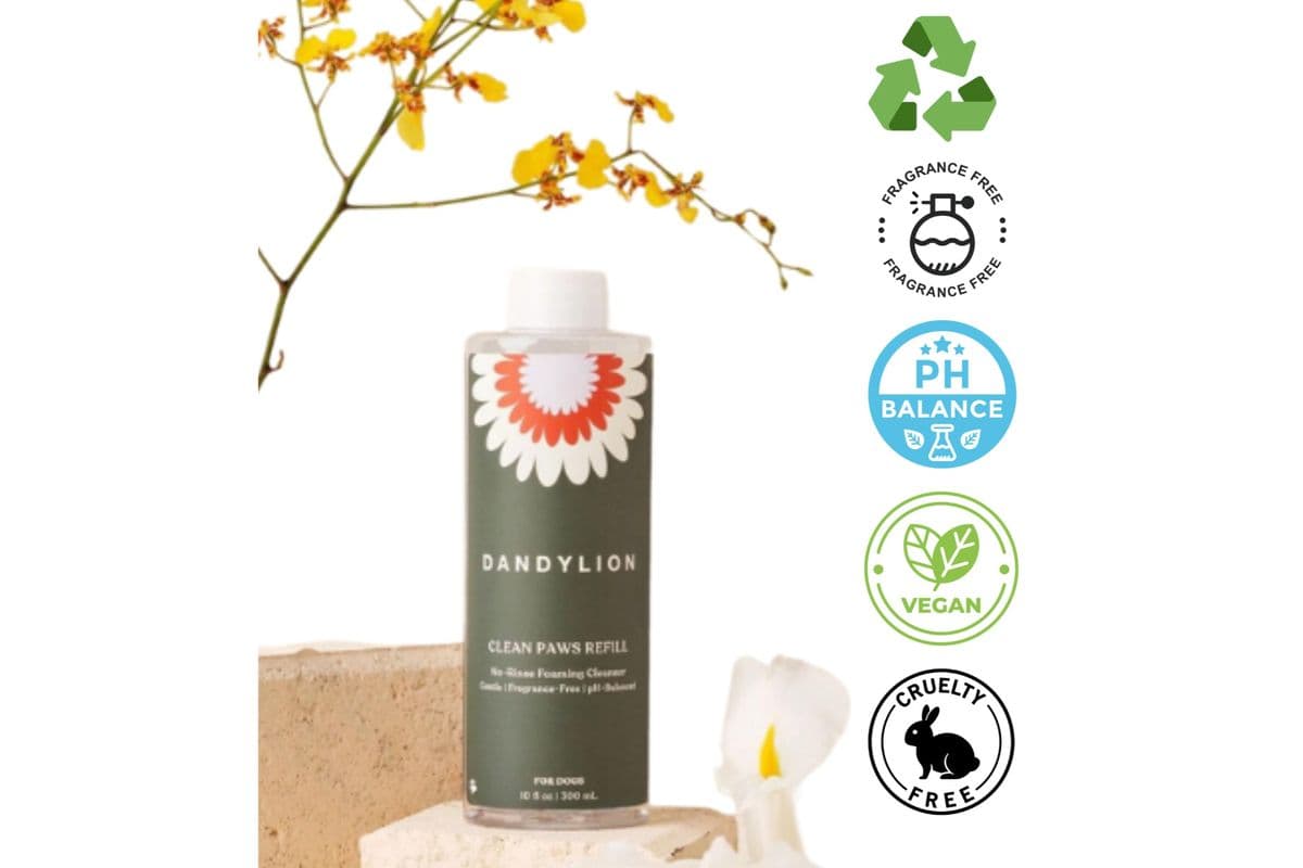 Dandylion Refill - Clean Paws No-Rinse Foaming Cleanser (300 ml)