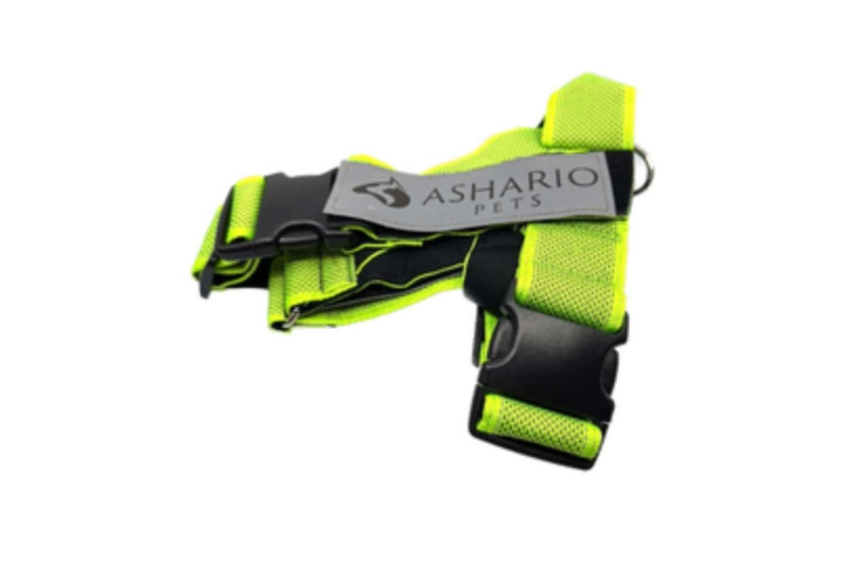 Ashario Pets - "BreezyVest" Summer Lightweight Reflective Harness - Fluorescent Green - XL (XL)