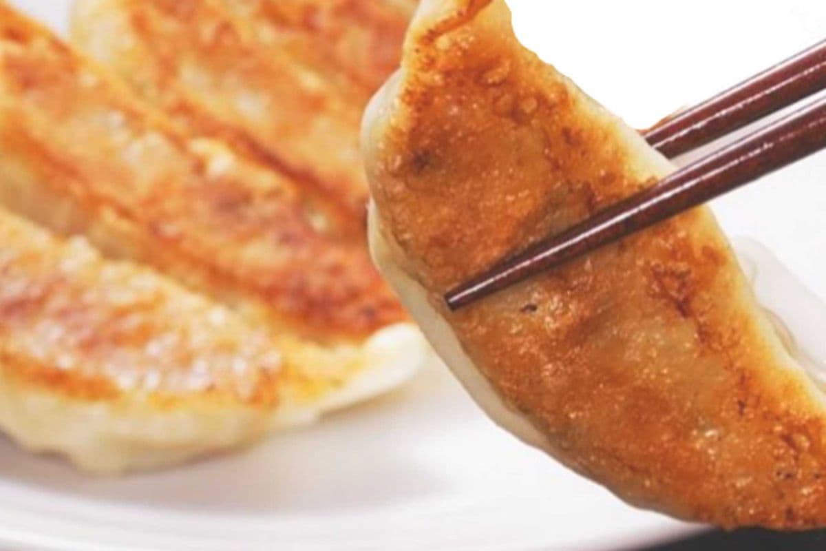 Gyoza-Ebi