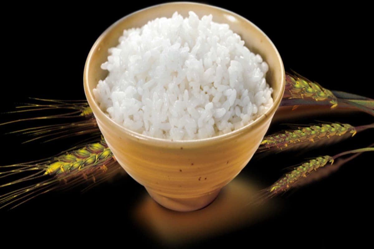Sushi Rice
