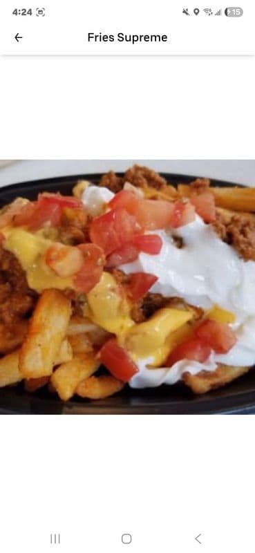 Large Fries Supreme