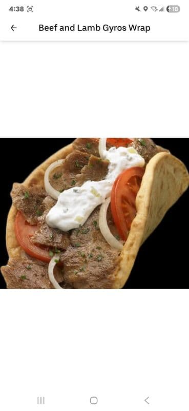 Beef and Lamb Gyros Wrap
