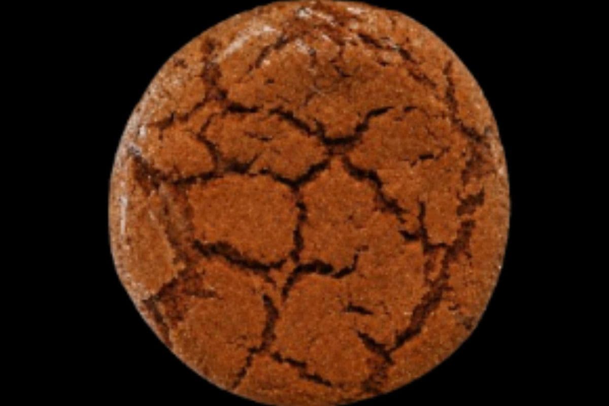 Ginger Snap Cookie