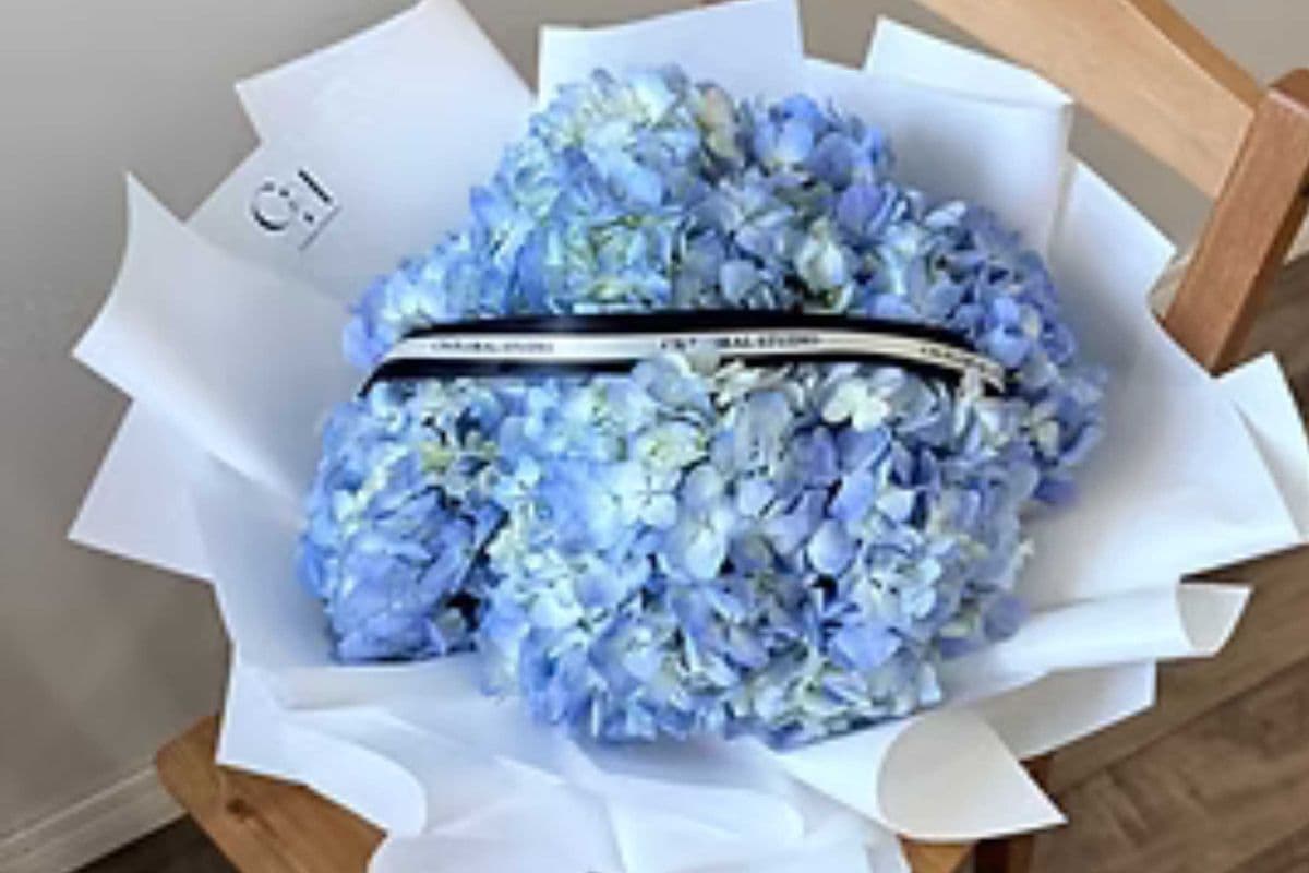 The Blue