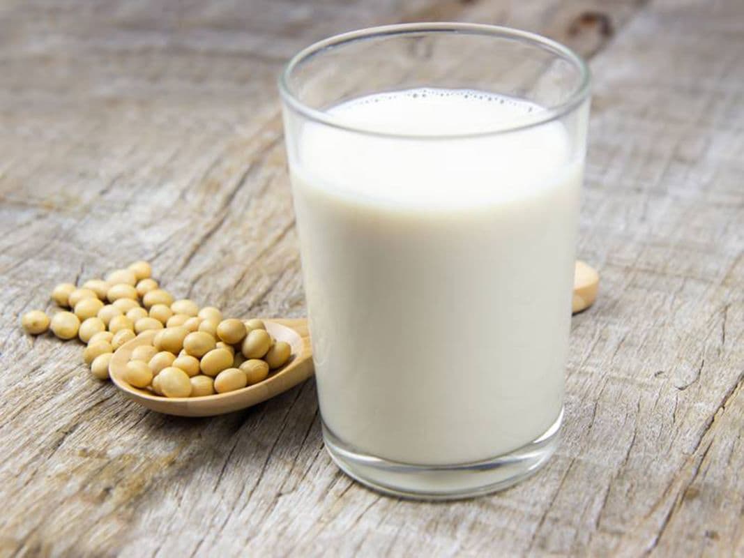 Hot Soy Milk 熱豆漿