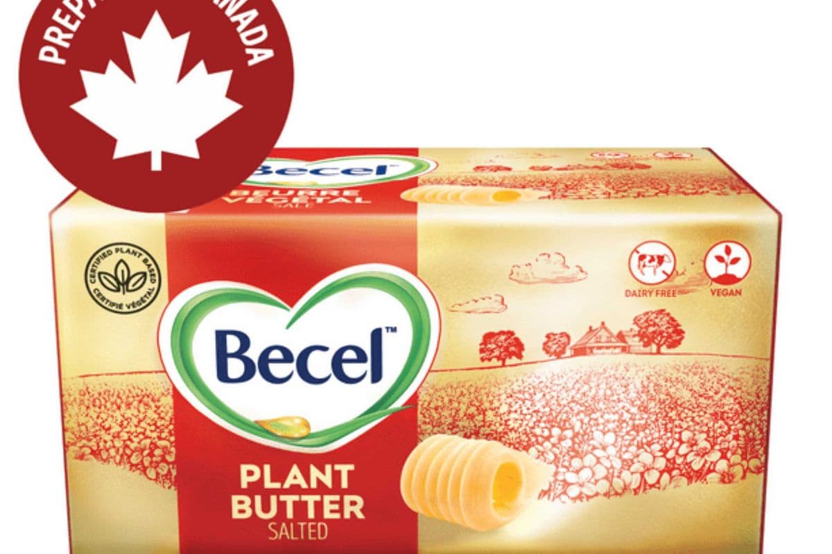 Beecel Plant Based Butter Salted (454 gm)