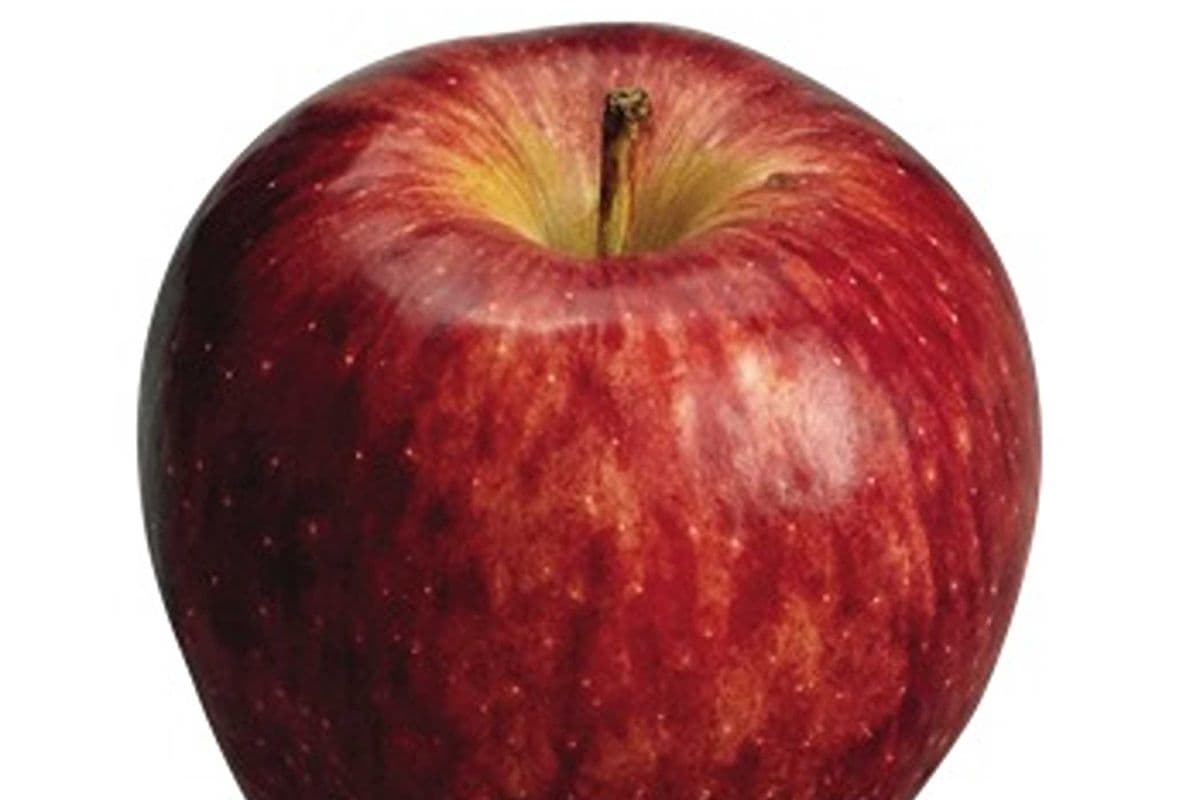 Pommes rouge (1kg) / Red Apples (1kg)
