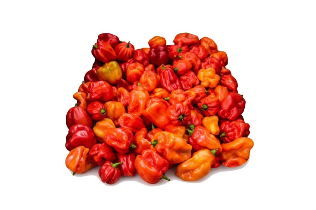 Habanero Peppers (Per Pound) (1 lb)