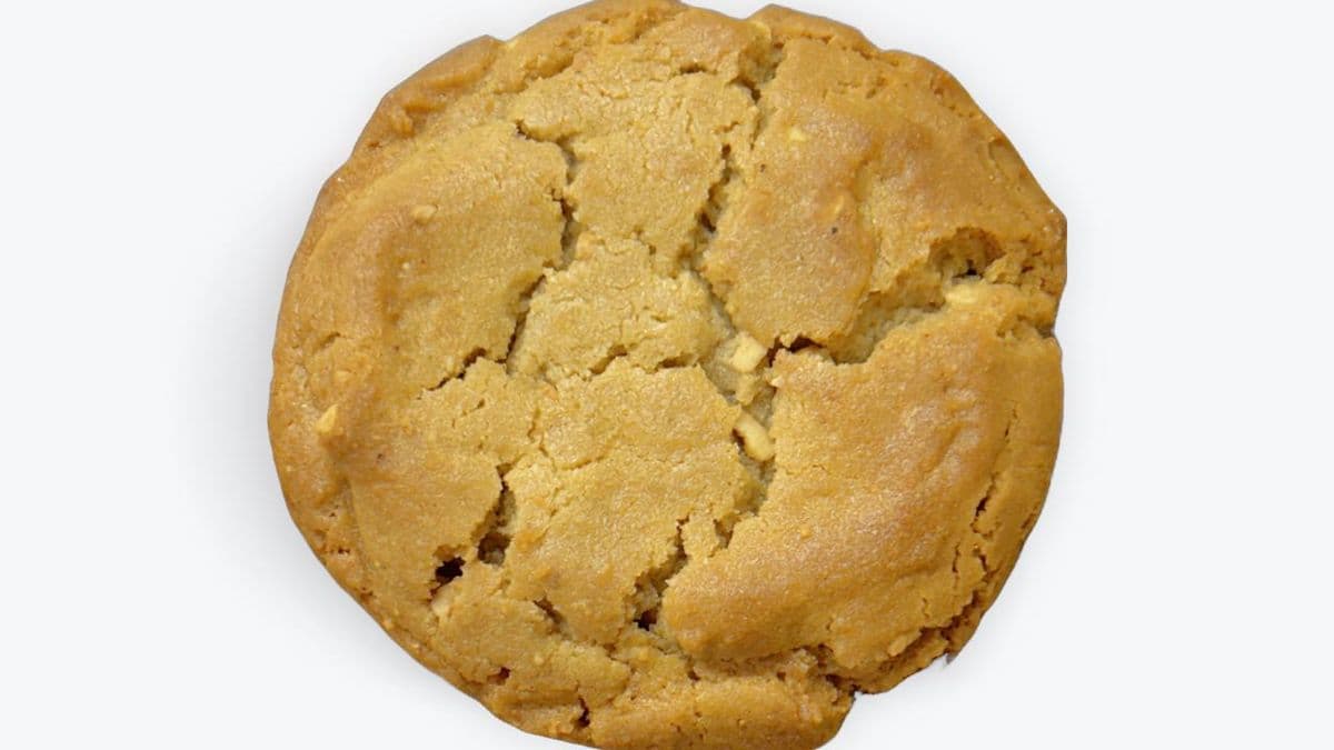 Peanut Butter Cookie