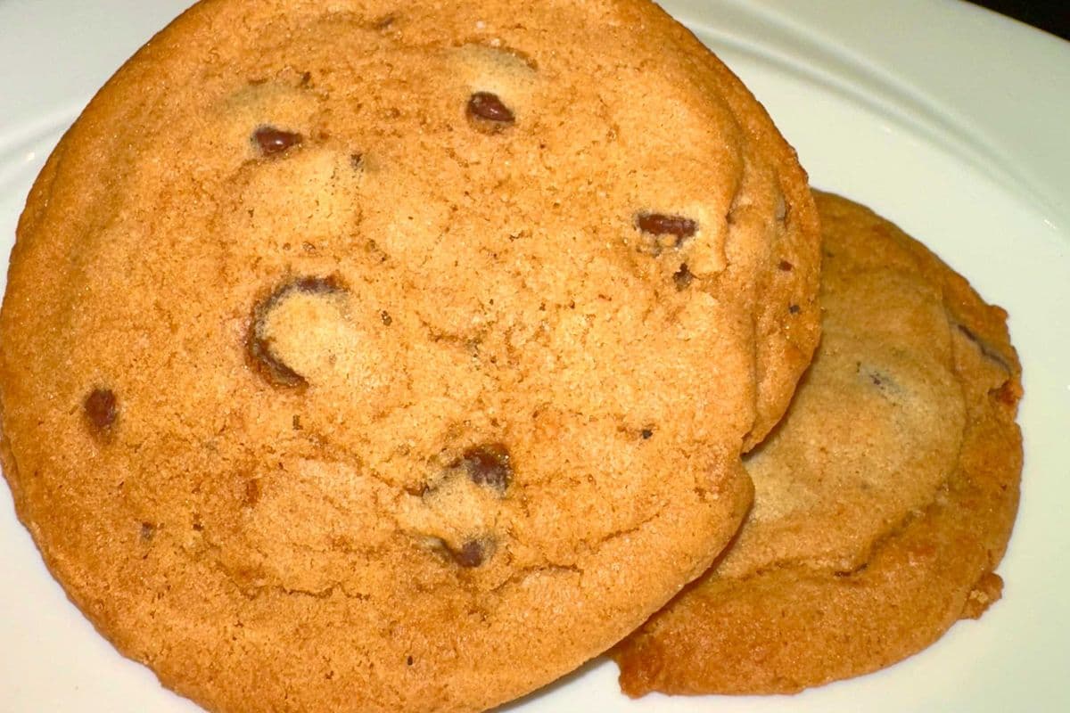Freshly Baked Cookies