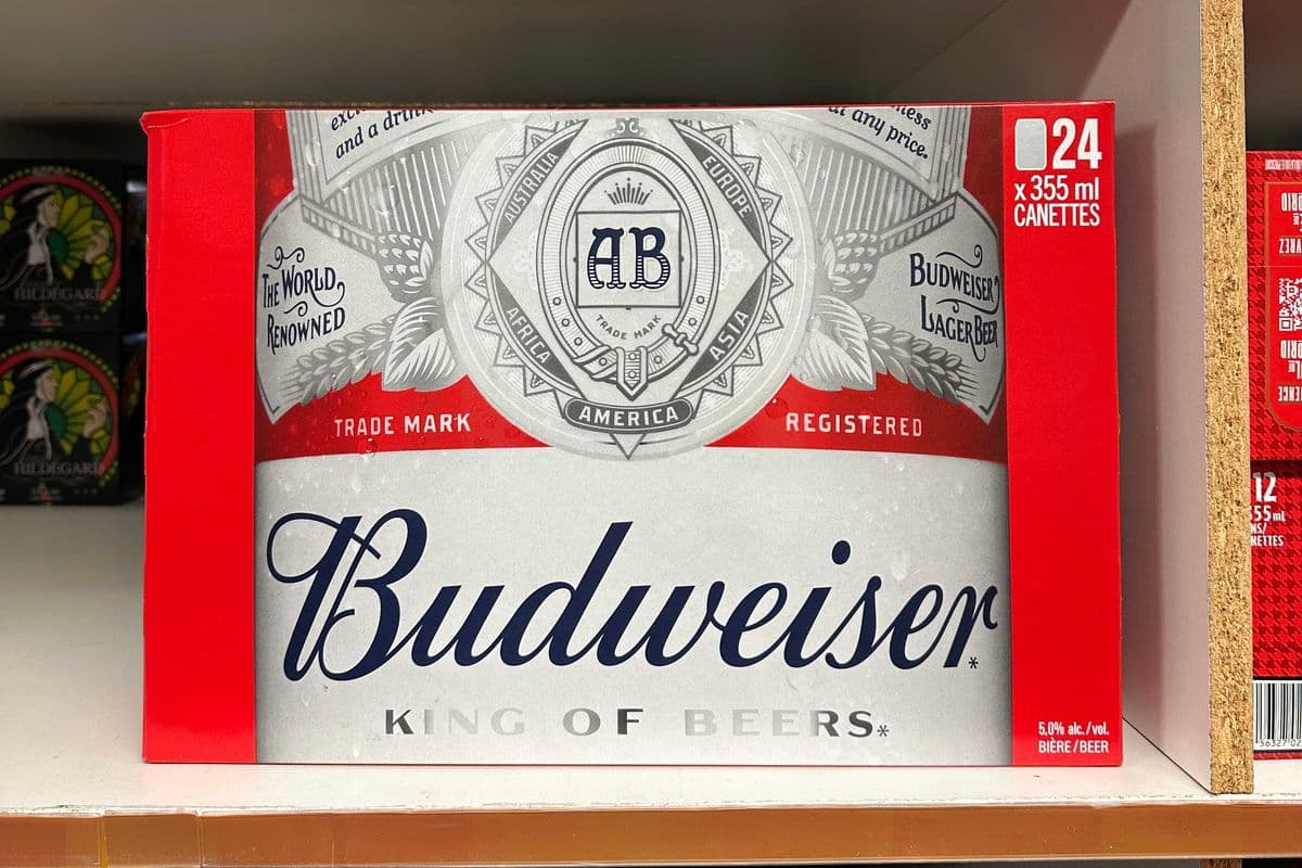 Budweiser (24 Pack) (1 x 24 PK)