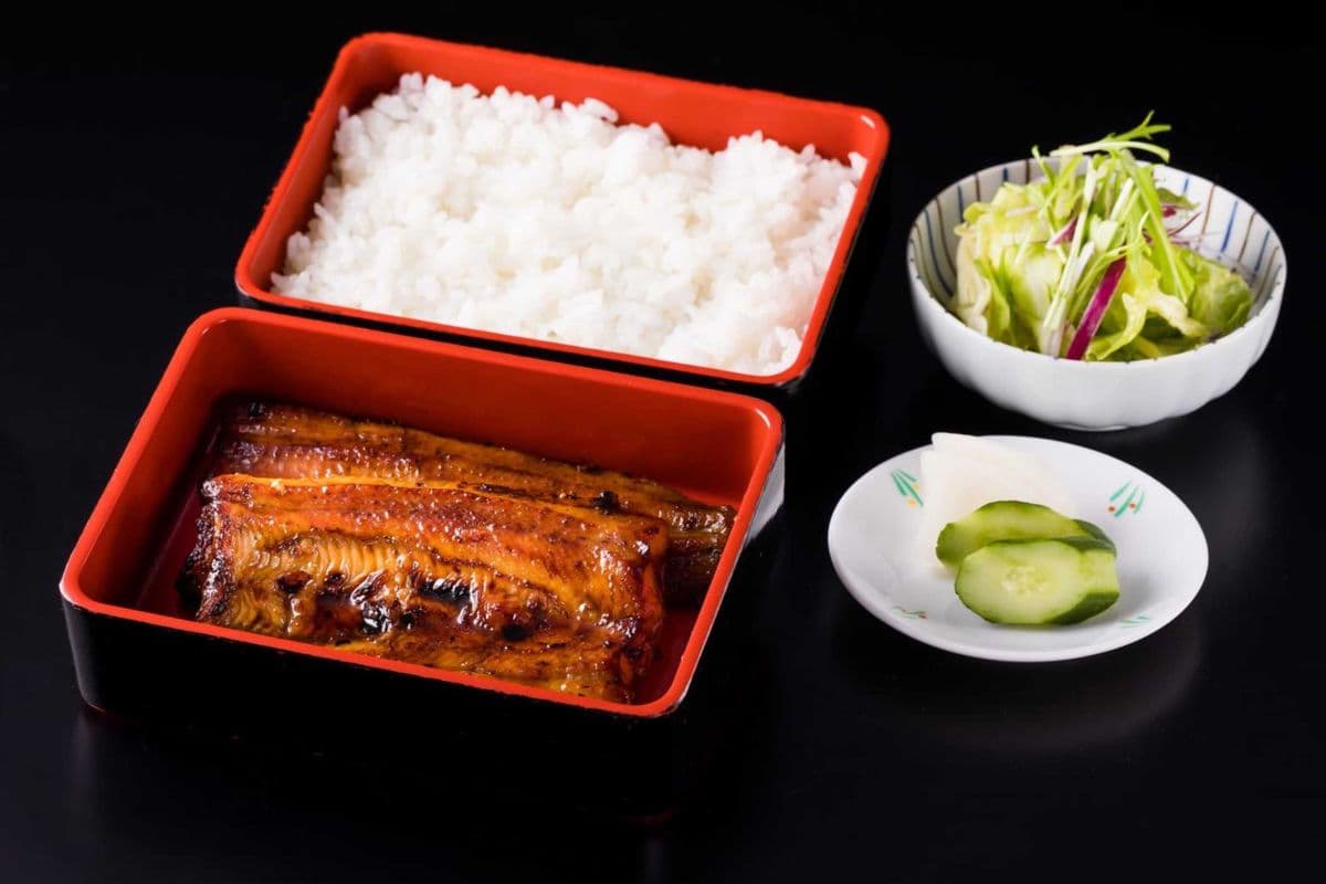 Unagi Don