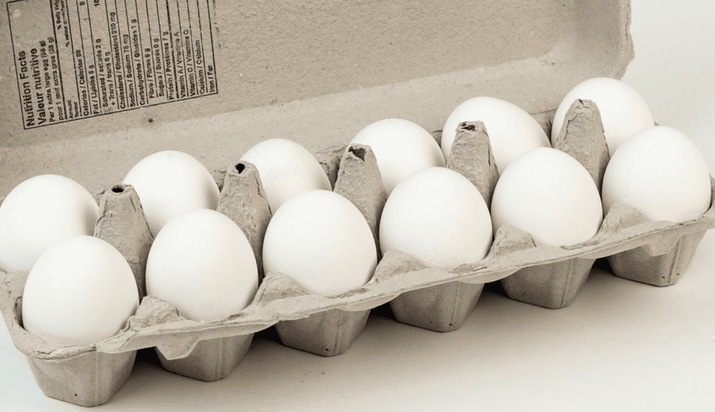 Grands oeufs (12 mcx) / Large Eggs (12 Pack)