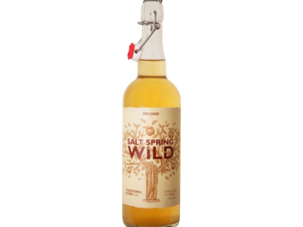 Salt Spring Wild Cider - Bitter Orange