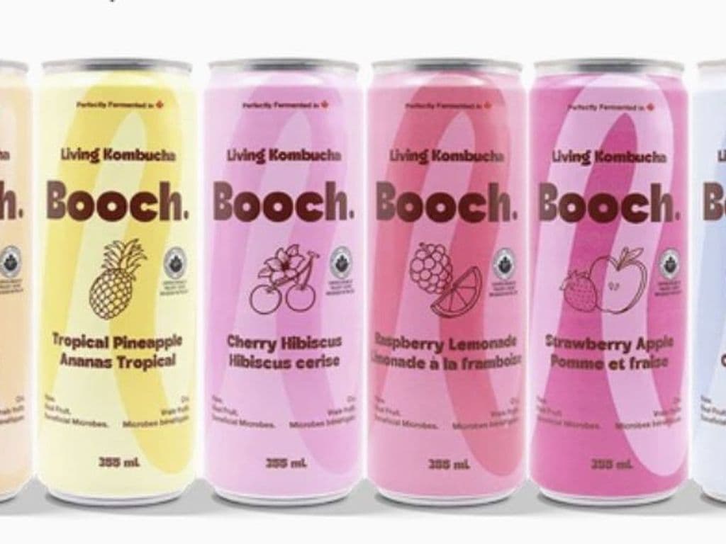 Booch Kombucha (random flavor)