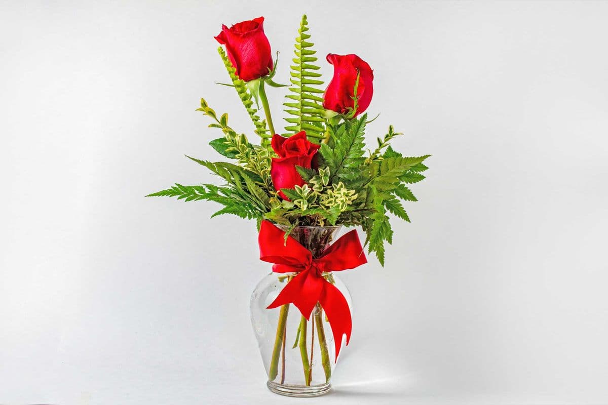 3 Roses in a Vase