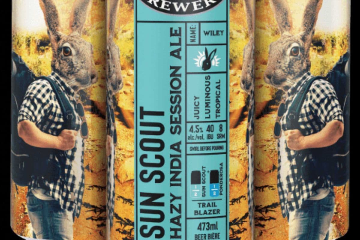 Wild Rose Sun Scout (4 x 473 ml Cans)