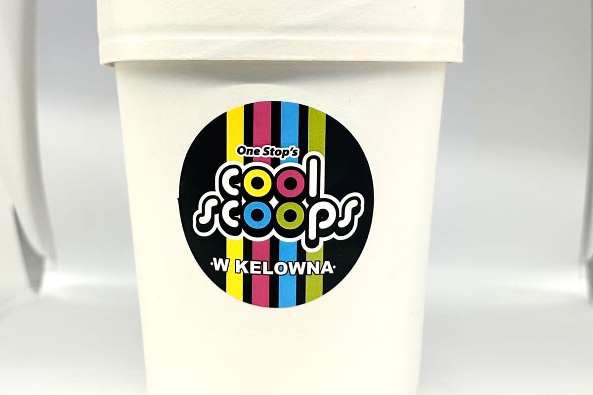Mint Chocolate Chip 16oz Pint
