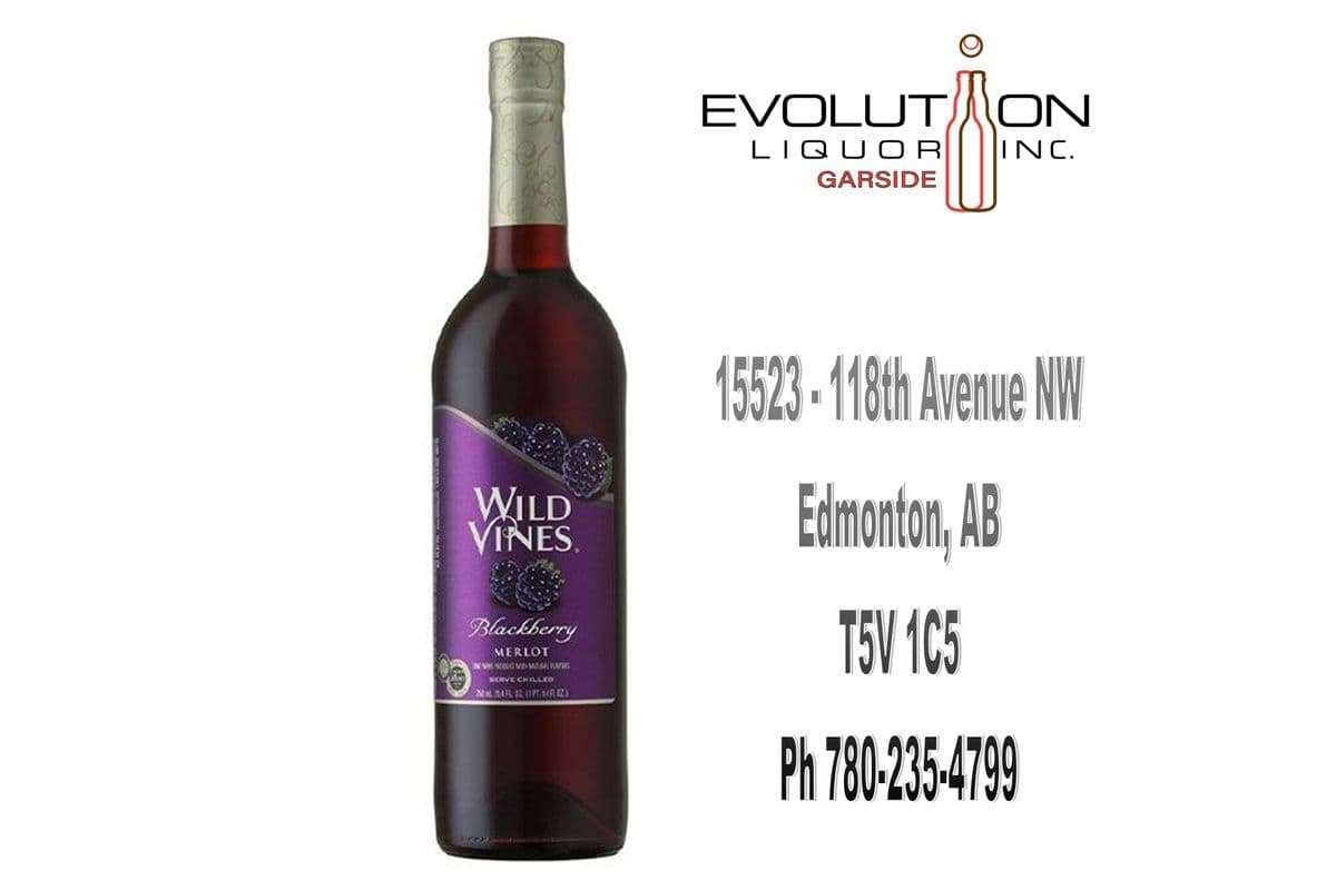 Wild Vines Blackberry Merlot (1 x 750ml Glass Bottle)