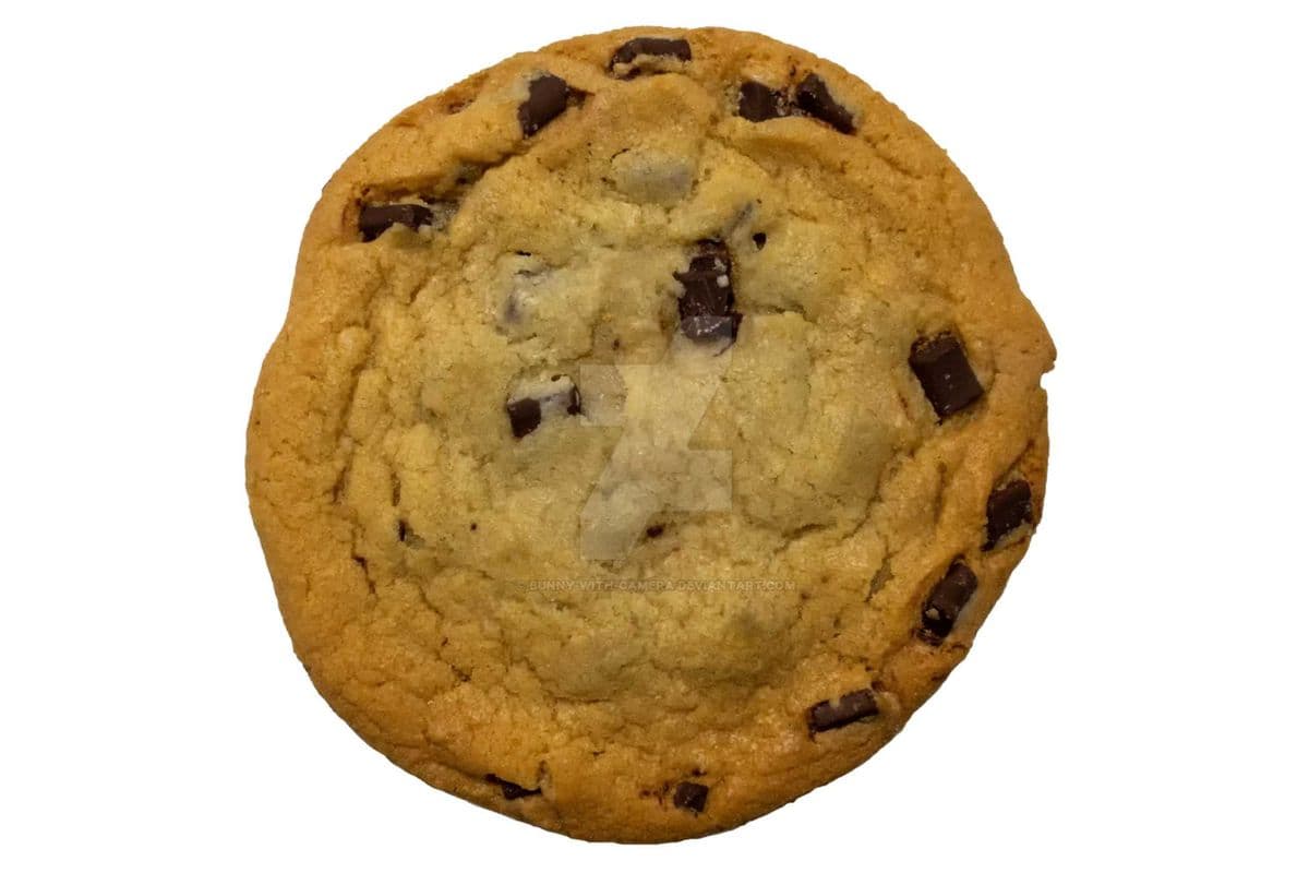 Freshly Baked Cookie - Choco Chip