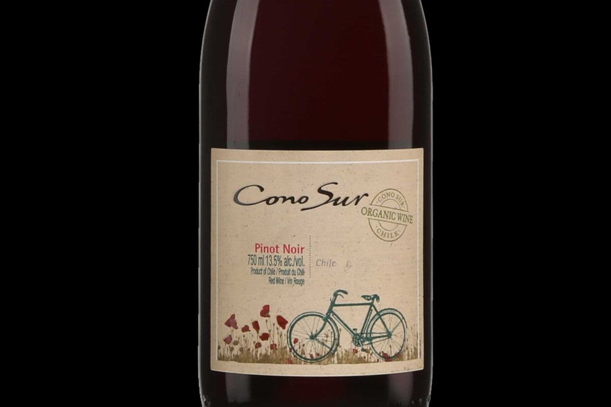 Cono sur Pinot Noir (1 x 750 ml)