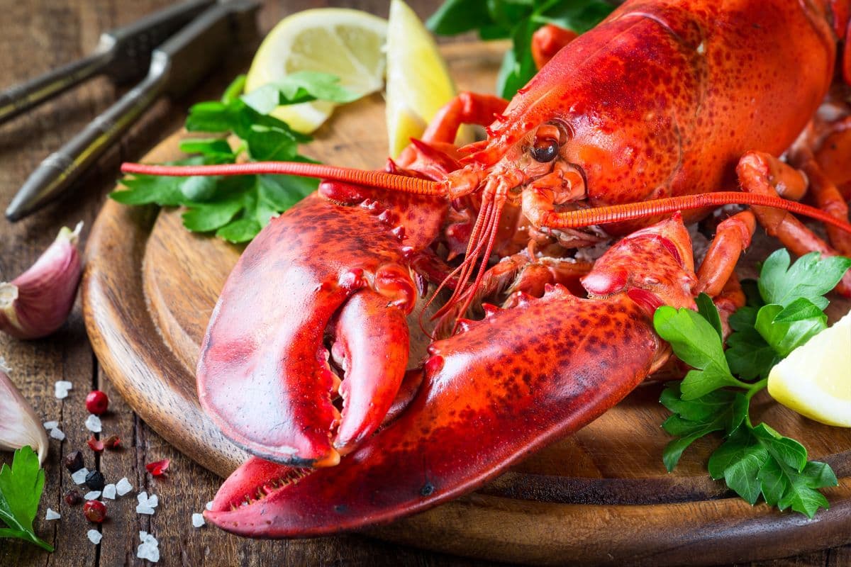 Lobster (1 lb) Seasonal
