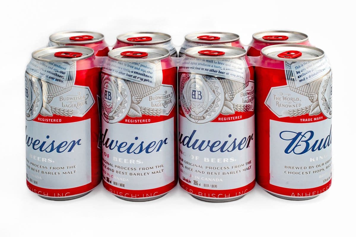 Budweiser (8 Cans) (1 x 8pc)
