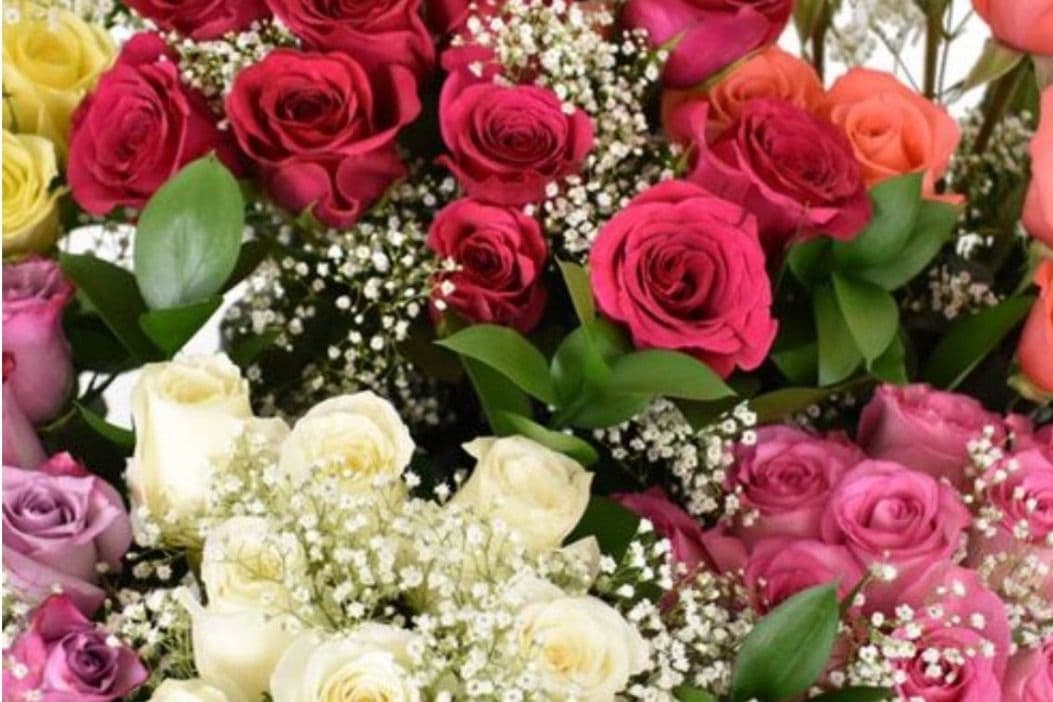 Dozen Rainbow Of Roses Bouquet