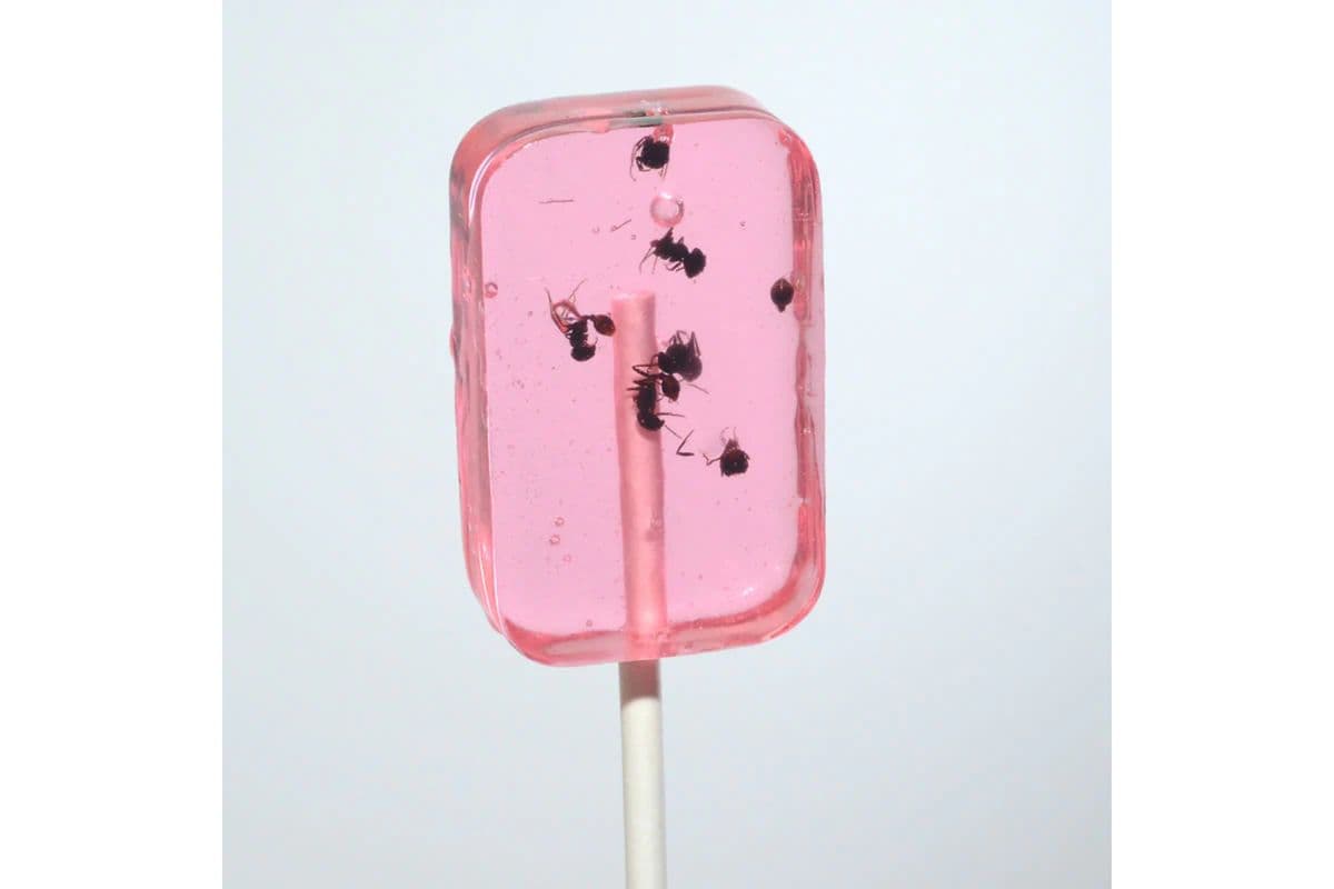 Anti Lix Watermelon (31 g)