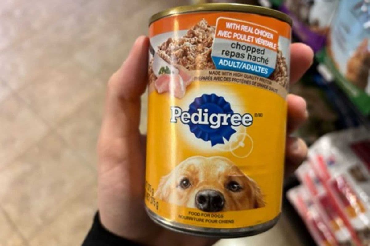 Pedigree | Canine | Wet | Chopped Ground Chicken Dinner | 375g