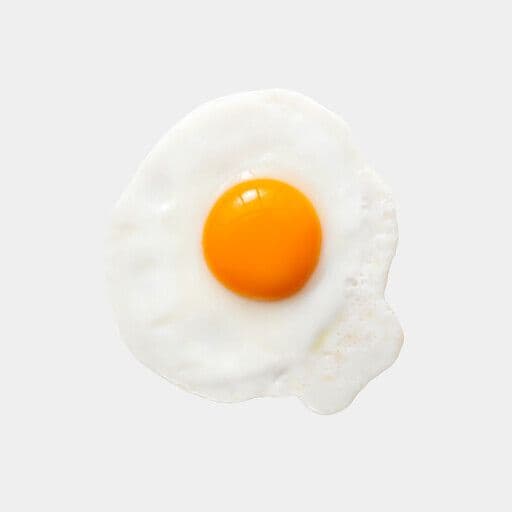 Œuf (1)
