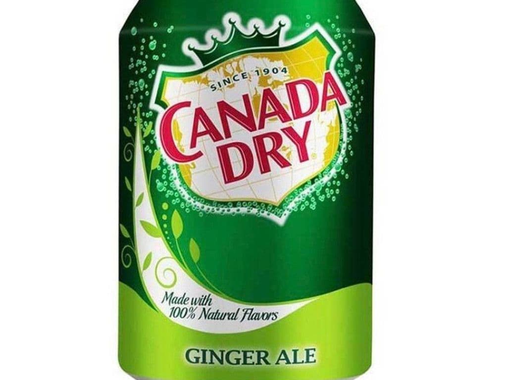Ginger Ale (355 mL)