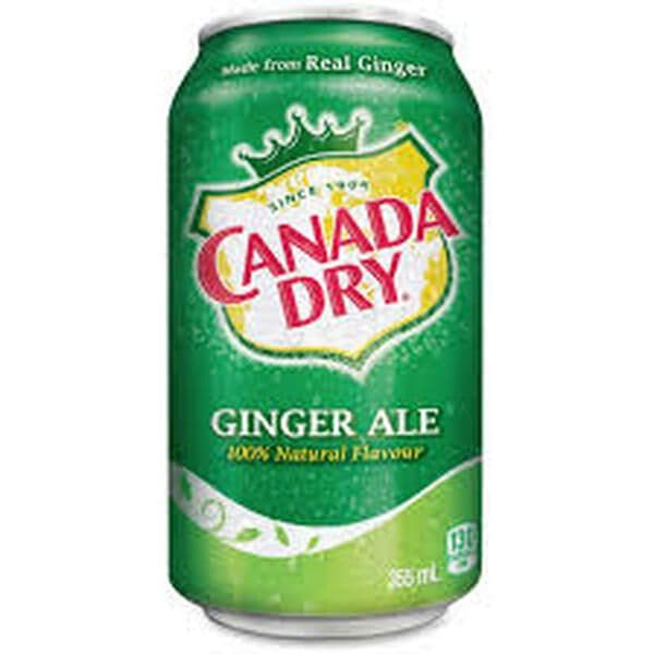 Ginger Ale (355ml)