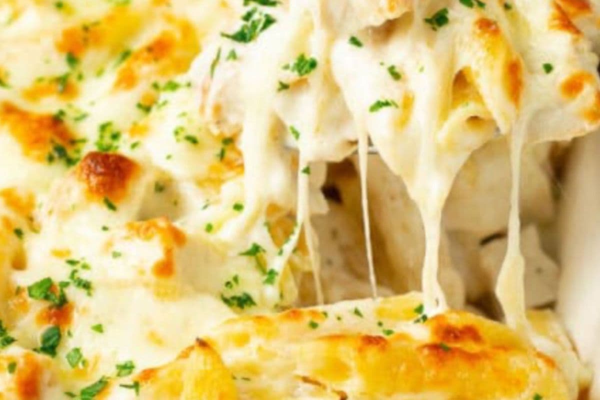 FETTUCINI CHICKEN ALFREDO